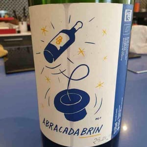Abracadabrin - Domaine de Brin - Damien Bonnet 