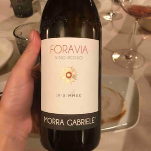 Foravia - Cantina Morra Gabriele, già Pautasso dal 1880 - Gabriele Testa, Stefano Campaniello 