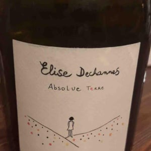 Absolue terre - Elise dechennes - elise-dechannes -2020