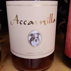 Accamilla - Azienda Agricola Camerlengo - antonio-cascarano