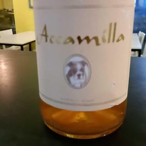 Accamilla - Azienda Agricola Camerlengo - antonio-cascarano