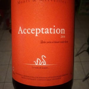 Acceptation - Monts et Merveilles - Laure Boussu & Julien Audard 