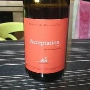 Acceptation - Monts et Merveilles - Laure Boussu & Julien Audard 