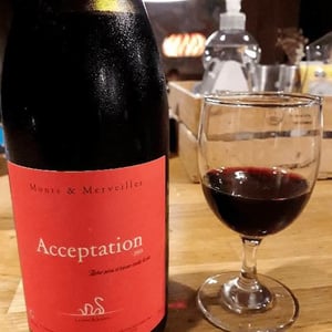 Acceptation - Monts et Merveilles - Laure Boussu & Julien Audard 