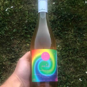 Insolente Vini - Luca Elettri - Acid