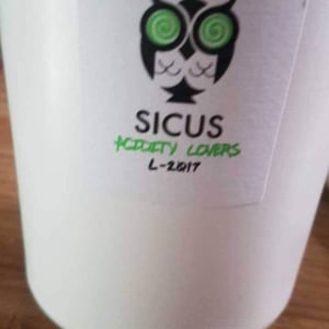 Acidity Lovers - Sicus - Eduard Pié 