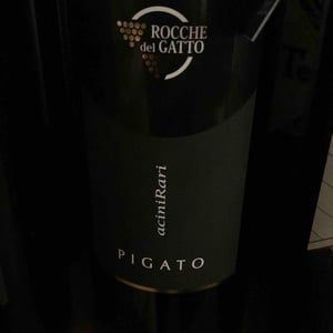 Pigato - Le Rocche del Gatto - Fausto De Andreis 