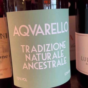Acquarello - Chioccioli Altadonna - chioccioli-altadonna -2021