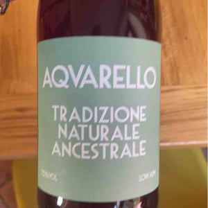 Acquarello - Chioccioli Altadonna - chioccioli-altadonna -2021