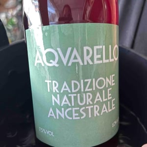 Acquarello - Chioccioli Altadonna - chioccioli-altadonna -2021