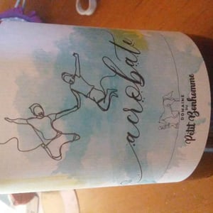 Acrobate - Domaine du petit bonhomme - Fabien Chanavas -2020