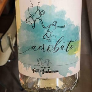 Acrobate - Domaine du petit bonhomme - Fabien Chanavas -2020