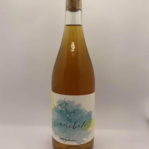 Acrobate - Domaine du petit bonhomme - fabien-chanavas -2020
