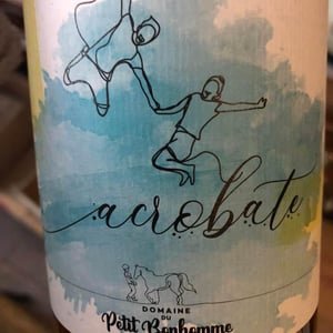 Acrobate - Domaine du petit bonhomme - Fabien Chanavas -2020