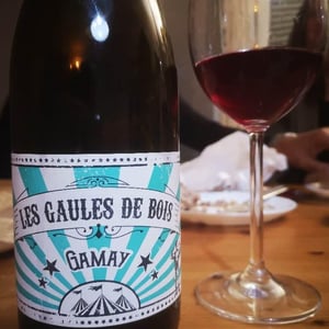 Acte I - Les Gaules De Bois - romuald-cousy-vincent-alexis