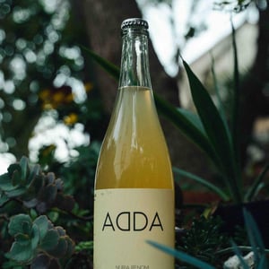 Adda - Les Cantarelles - Nuria Renom Suárez -2021