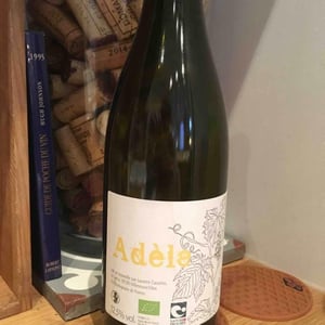 Adèle - Distillerie et Domaine Cazottes - laurent-cazottes