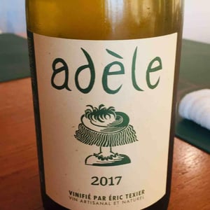 Domaine Eric Texier - Laurence et Eric Texier - Adèle