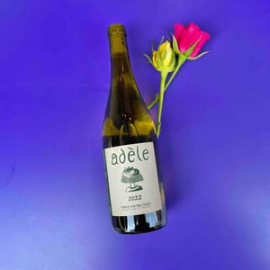 Adèle - Domaine Eric Texier - laurence-et-eric-texier