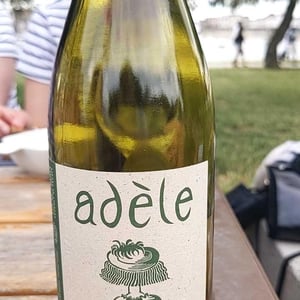 Domaine Eric Texier - Laurence et Eric Texier - Adèle