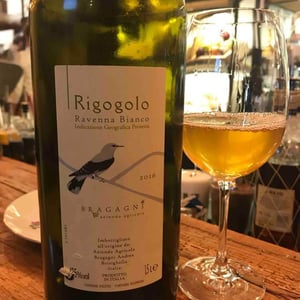 Rigogolo - Azienda Agricola Bragagni Andrea - Andrea Bragagni 