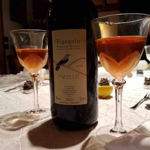 Rigogolo - Azienda Agricola Bragagni Andrea - Andrea Bragagni 