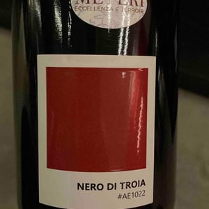Nero di Troia - Tenuta Demaio - Antonio Demaio -2020