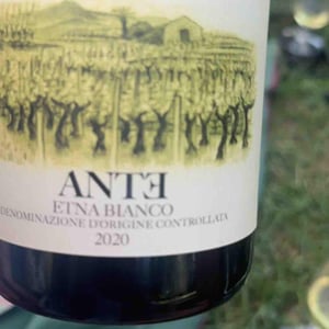 Aedes - I Custodi delle vigne dell'Etna - I Custodi -2021