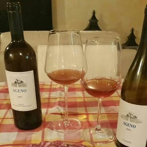 La Stoppa - Elena Pantaleoni - Ageno