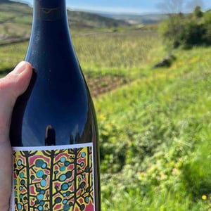 Agora - Le vignoble du Pagure - hugo-courvoisier