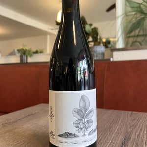 L'Aigine Rouge - Domaine de l’Or Vert - clement-jeannoulot-aurelien-le-tellier