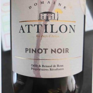 Ailleurs - Domaine Attilon - odile-renaud-de-roux