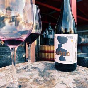 Aiora Red - Moschopolis Winery - Moschopolis Winery -2020