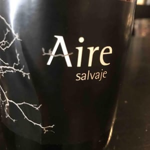Viños Patio - Samuel Cano - Aire Salvaje