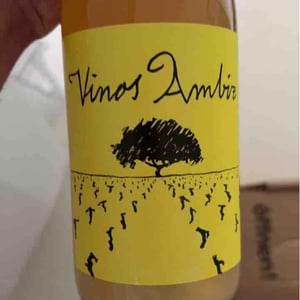 Airén (Amphora) Spain - Vinos Ambiz - Fabio Bartolomei 