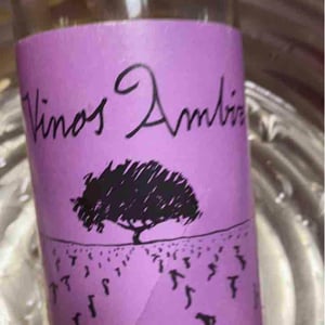 Airén (Amphora) Spain Sauvignon - Vinos Ambiz - fabio-bartolomei