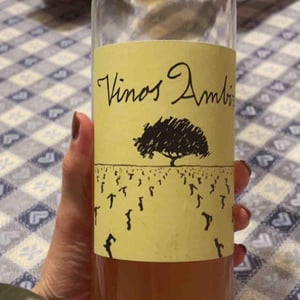 Airén (Amphora) Spain - Vinos Ambiz - Fabio Bartolomei