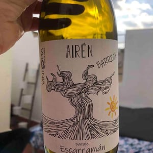 Airen Barrica - Vintopia - Clemente & Enrique Ortíz Martinez -2021