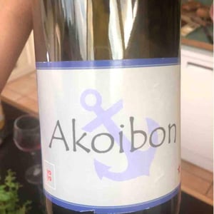 Domaine Yoyo - Laurence Manya Krief - Akoibon