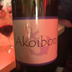 Domaine Yoyo - Laurence Manya Krief - Akoibon