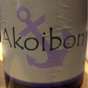 Domaine Yoyo - Laurence Manya Krief - Akoibon