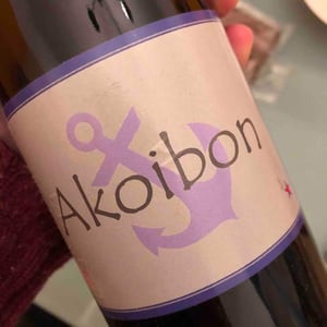 Domaine Yoyo - Laurence Manya Krief - Akoibon