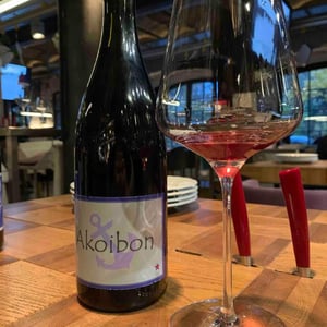 Domaine Yoyo - Laurence Manya Krief - Akoibon