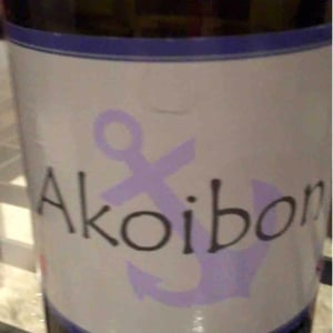 Domaine Yoyo - Laurence Manya Krief - Akoibon