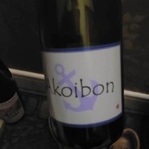 Domaine Yoyo - Laurence Manya Krief - Akoibon