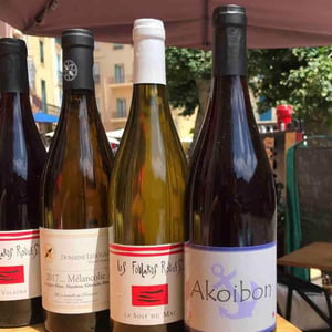 Domaine Yoyo - Laurence Manya Krief - Akoibon
