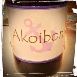Domaine Yoyo - Laurence Manya Krief - Akoibon