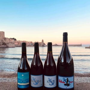 Domaine Yoyo - Laurence Manya Krief - Akoibon