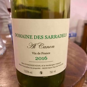 Al Canon - Domaine des Sarradels - Rémi Synadinos Koval 