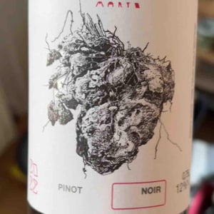Al Dente - Marto Wines - Weingut Wörner - Martin Wörner 